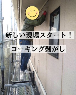 1000013856.png