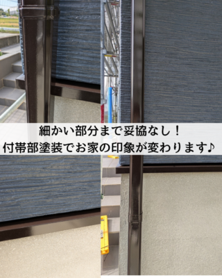 1000014862.png