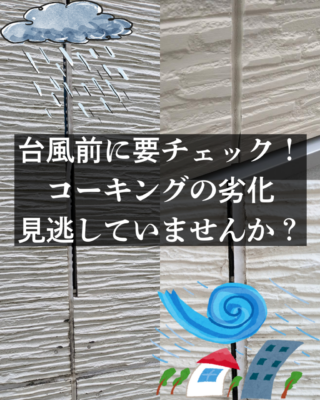 1000016488.png